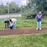 Obnova biodiverzity trávníků na Vinohradech