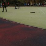 Seiferos – ukázky dravých ptáků a sov