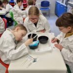 Projekt Zajímavá povolání – aktivity v 5. C