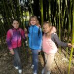 Arboretum – Lektor na VŠ obor botanika