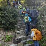 Arboretum – Lektor na VŠ obor botanika