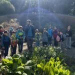 Arboretum – Lektor na VŠ obor botanika