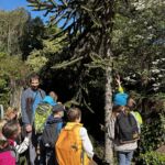 Arboretum – Lektor na VŠ obor botanika