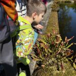Arboretum – Lektor na VŠ obor botanika