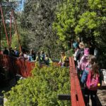 Arboretum – Lektor na VŠ obor botanika